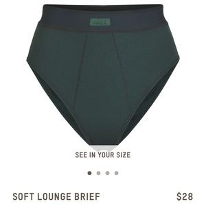 Soft Lounge Brief in Color Cypress Large